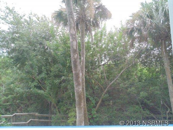 Ocean Walk Condo At Nsb - Residential