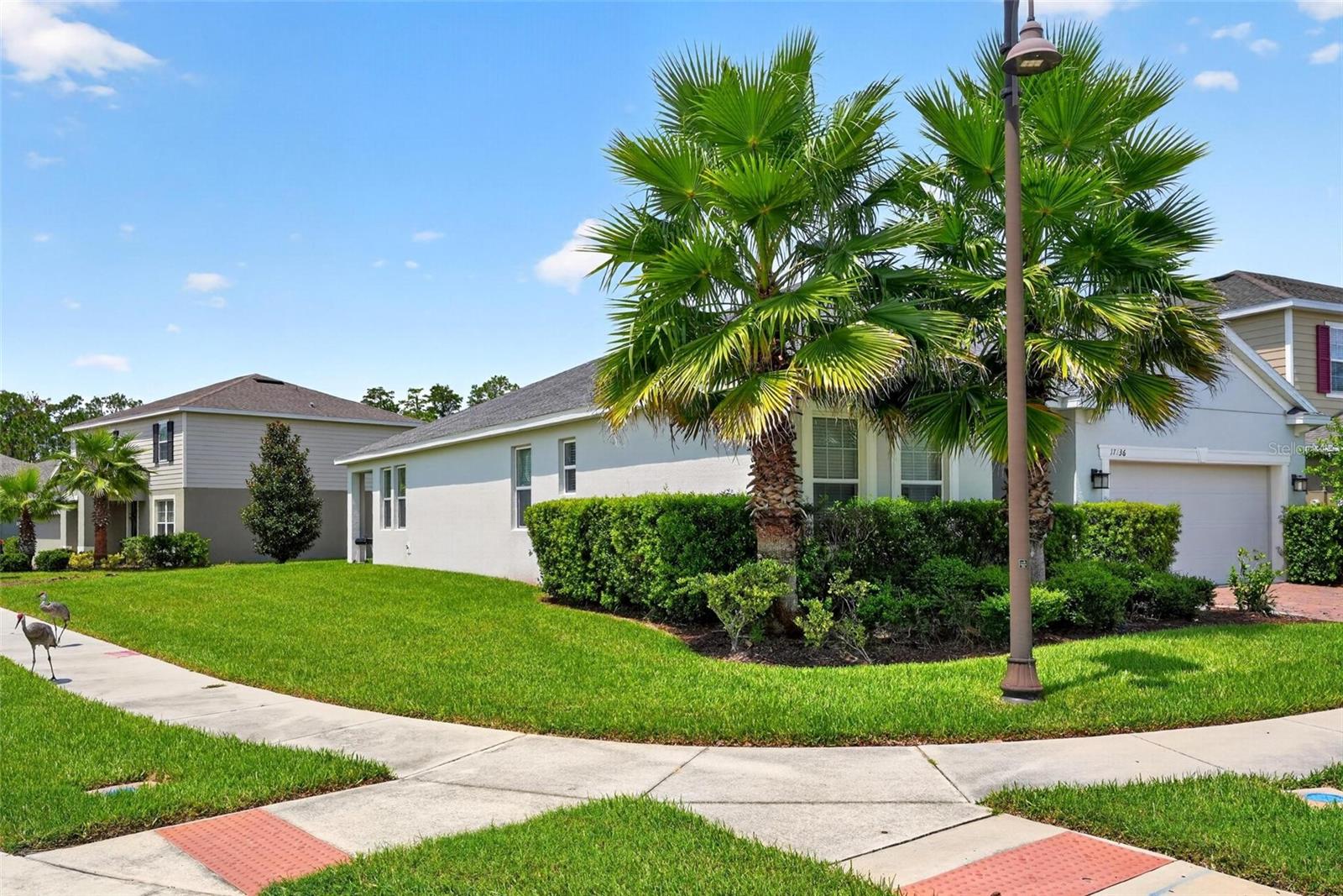 17136 GOLDCREST LOOP