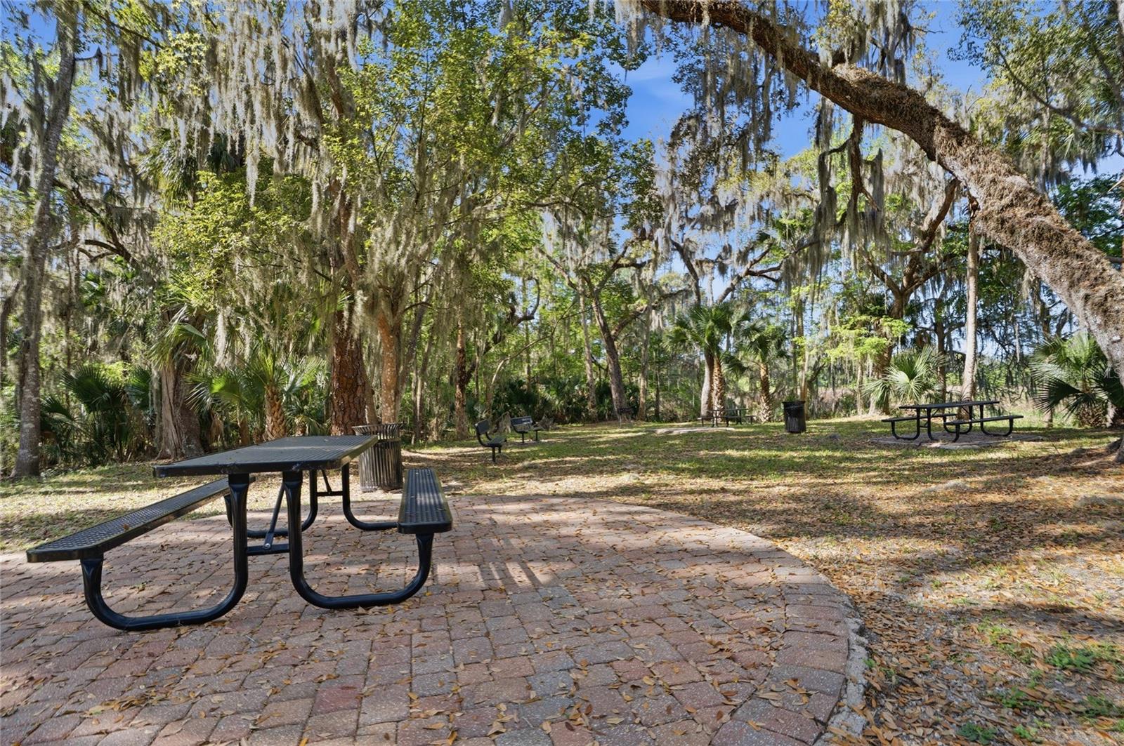 RIVIERA BELLA UN 9C - Residential