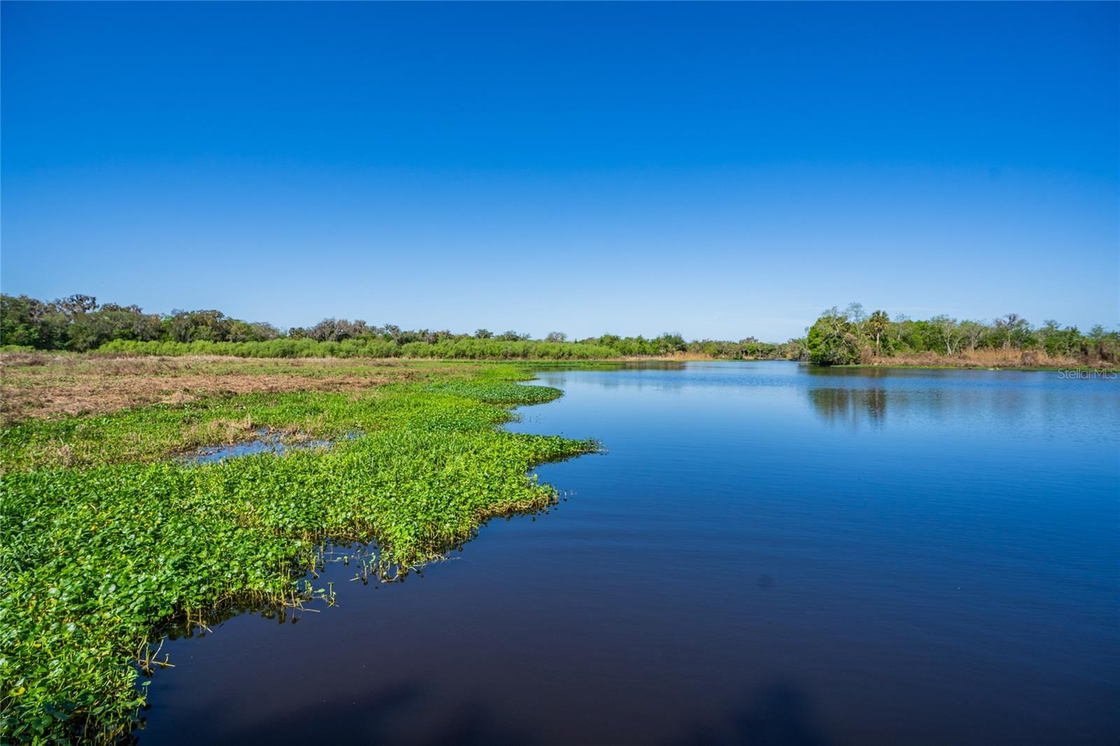 RIVIERA BELLA UN 9C - Residential