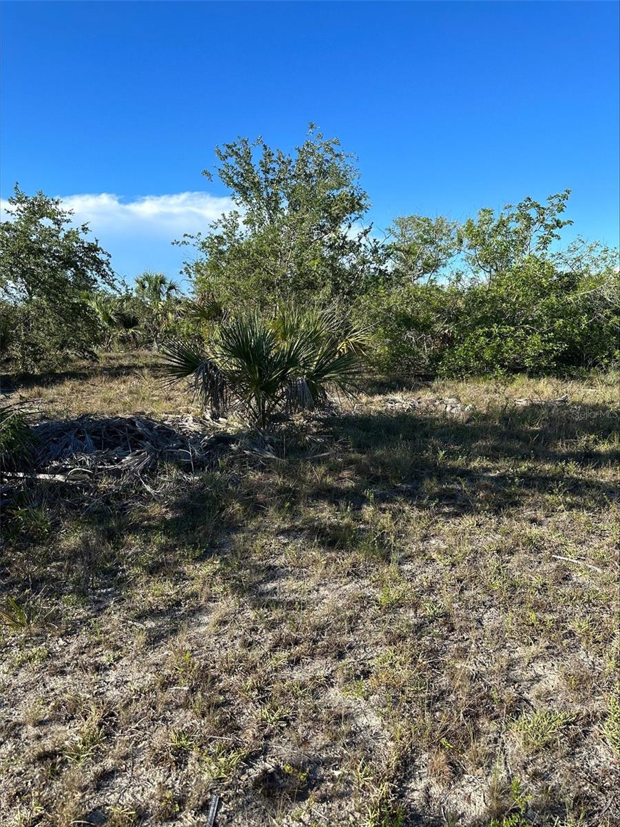 PORT CHARLOTTE SEC 082 - Land