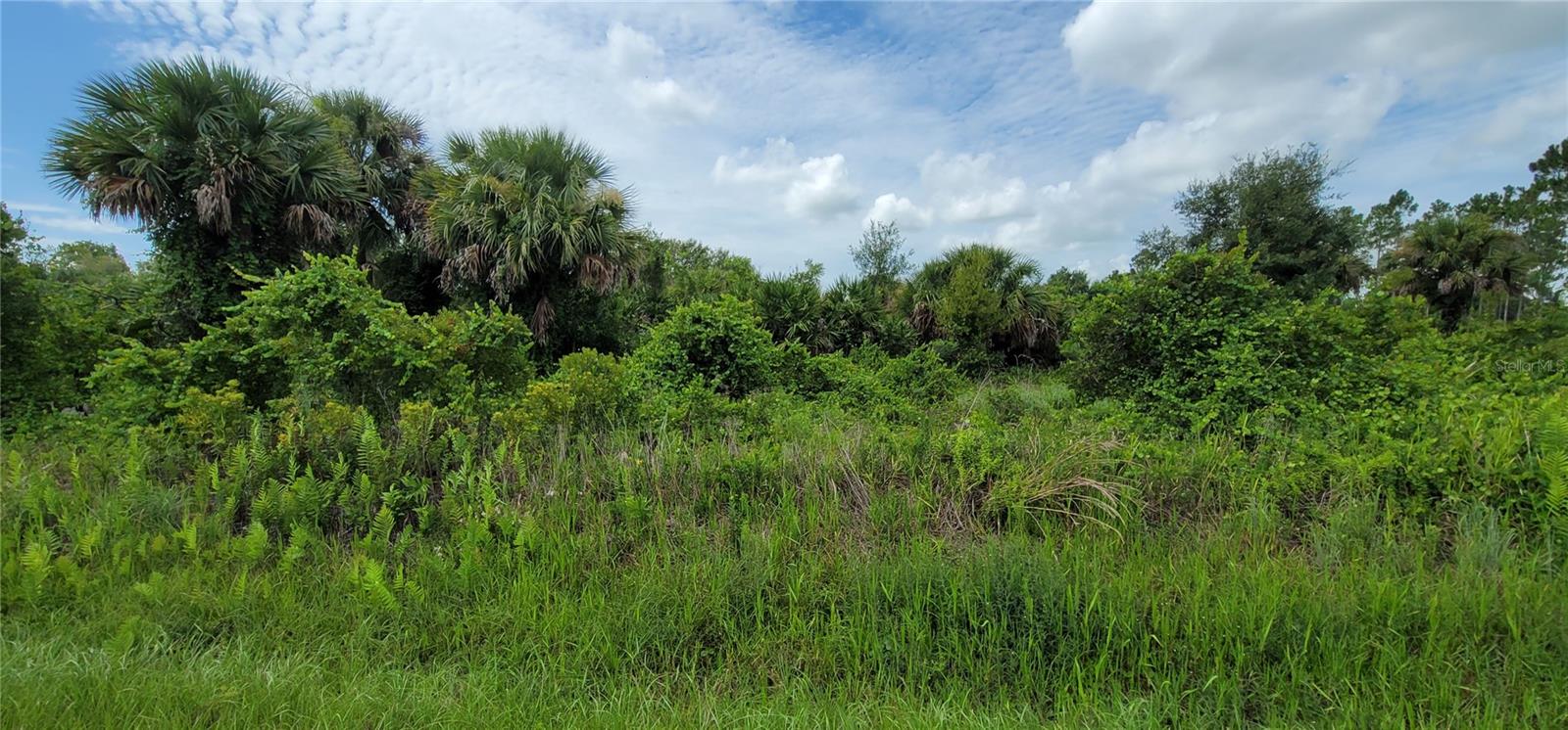 20366 NW 270TH STREET