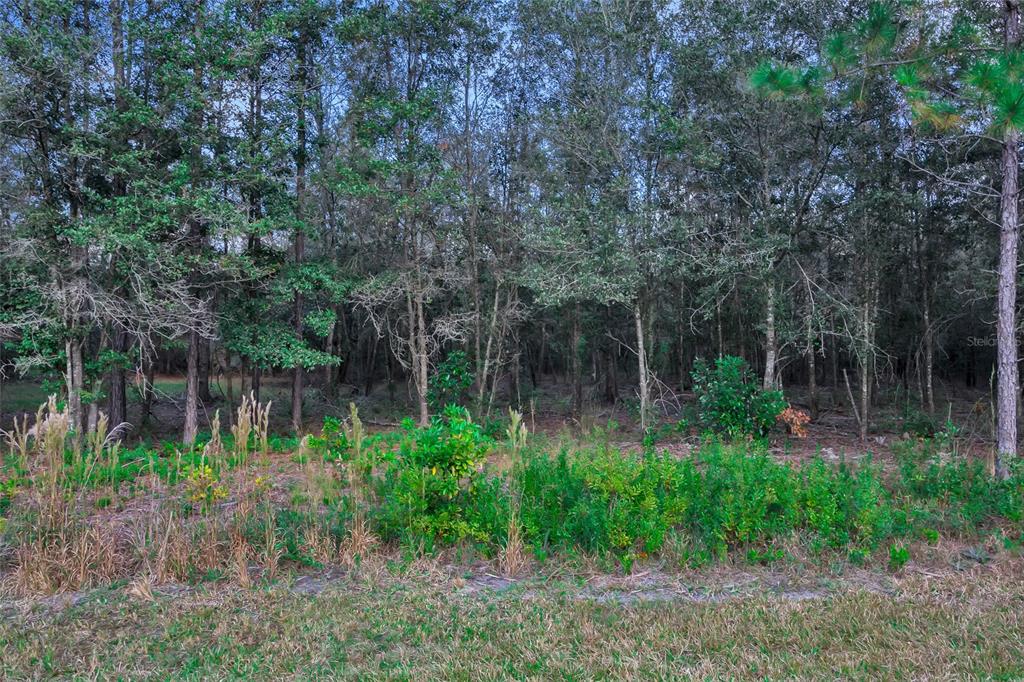 EDITH ELLEN ESTATES - PH 1 - Land