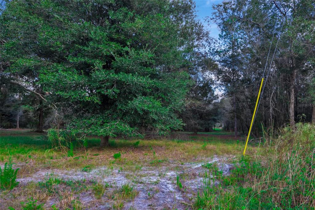 EDITH ELLEN ESTATES - PH 1 - Land