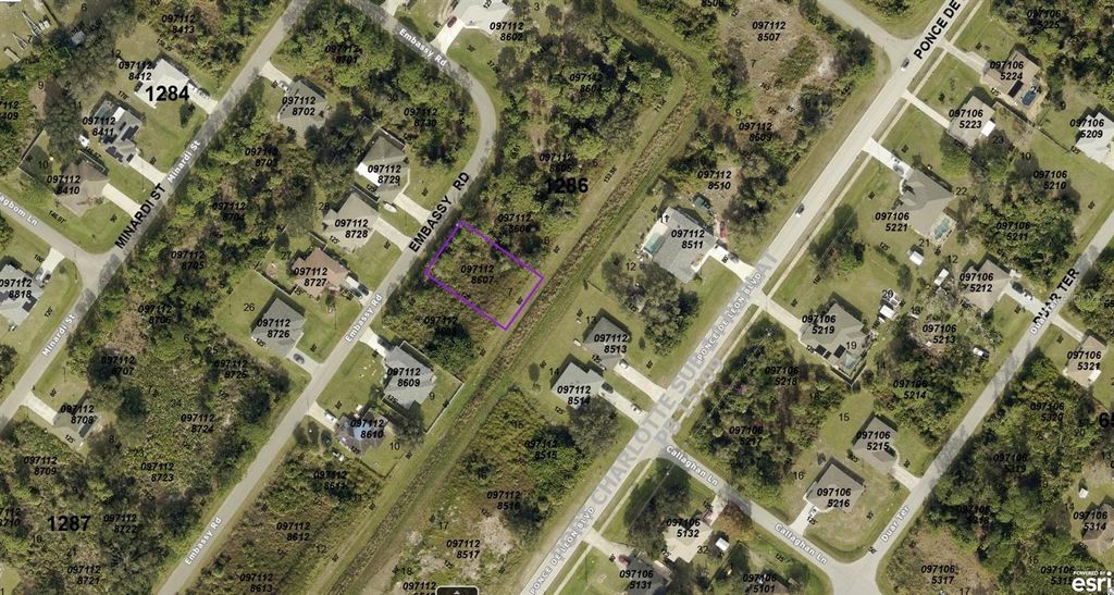 Photo of 971128607 Embassy Road, North Port, FL 34291 (MLS # A4614974)