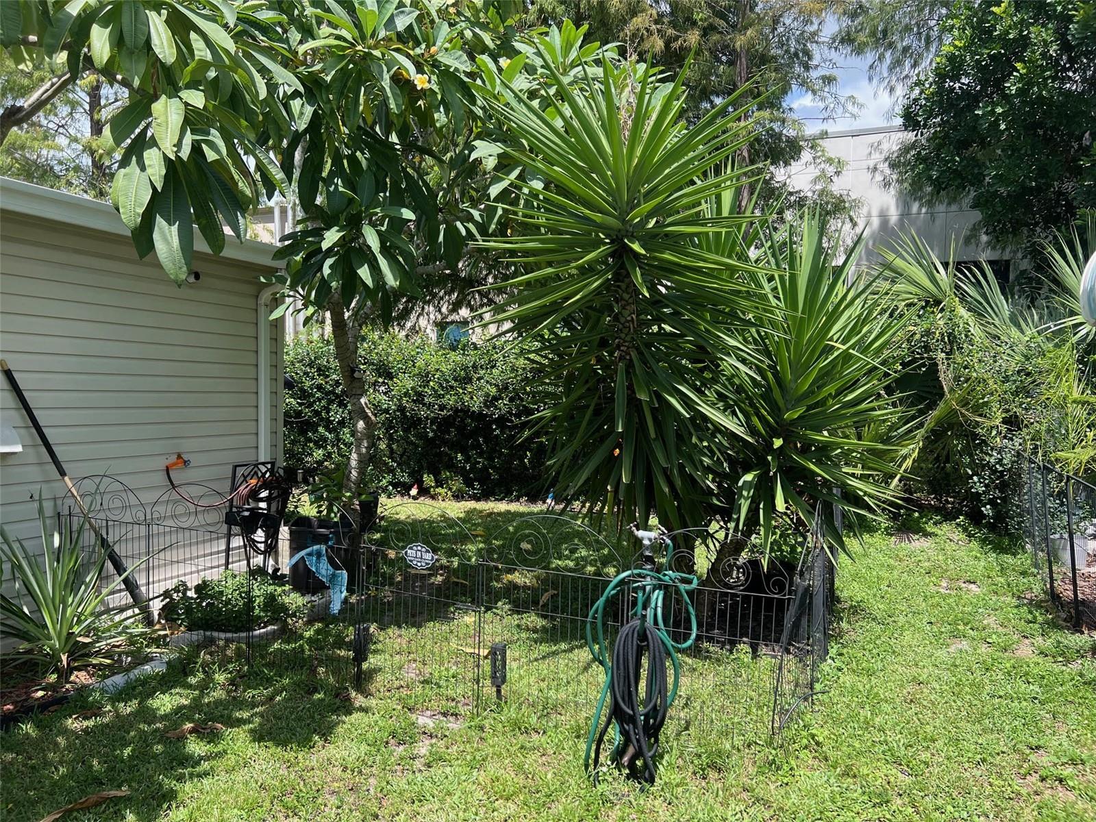 63 ROYAL PALM CIRCLE
