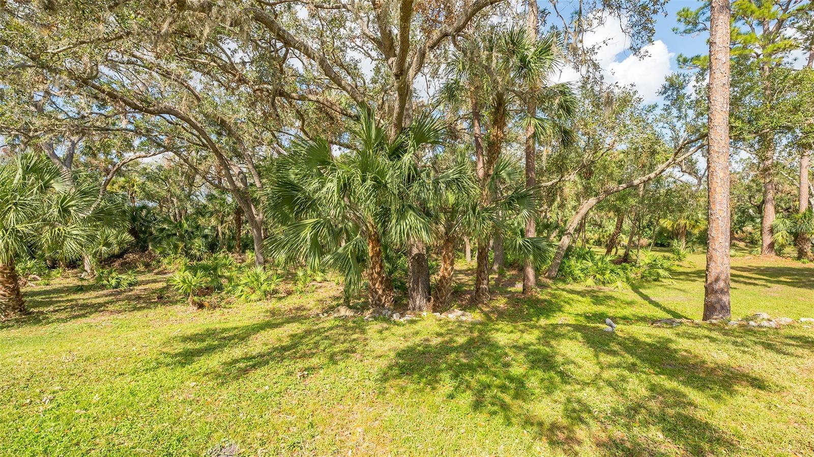 FOREST AT THE HI HAT RANCH - Residential