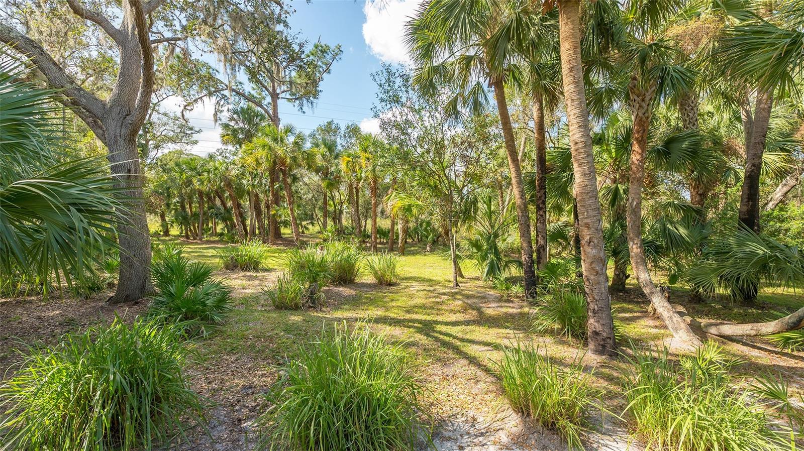 FOREST AT THE HI HAT RANCH - Residential