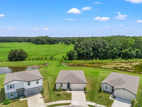 A home in ZEPHYRHILLS