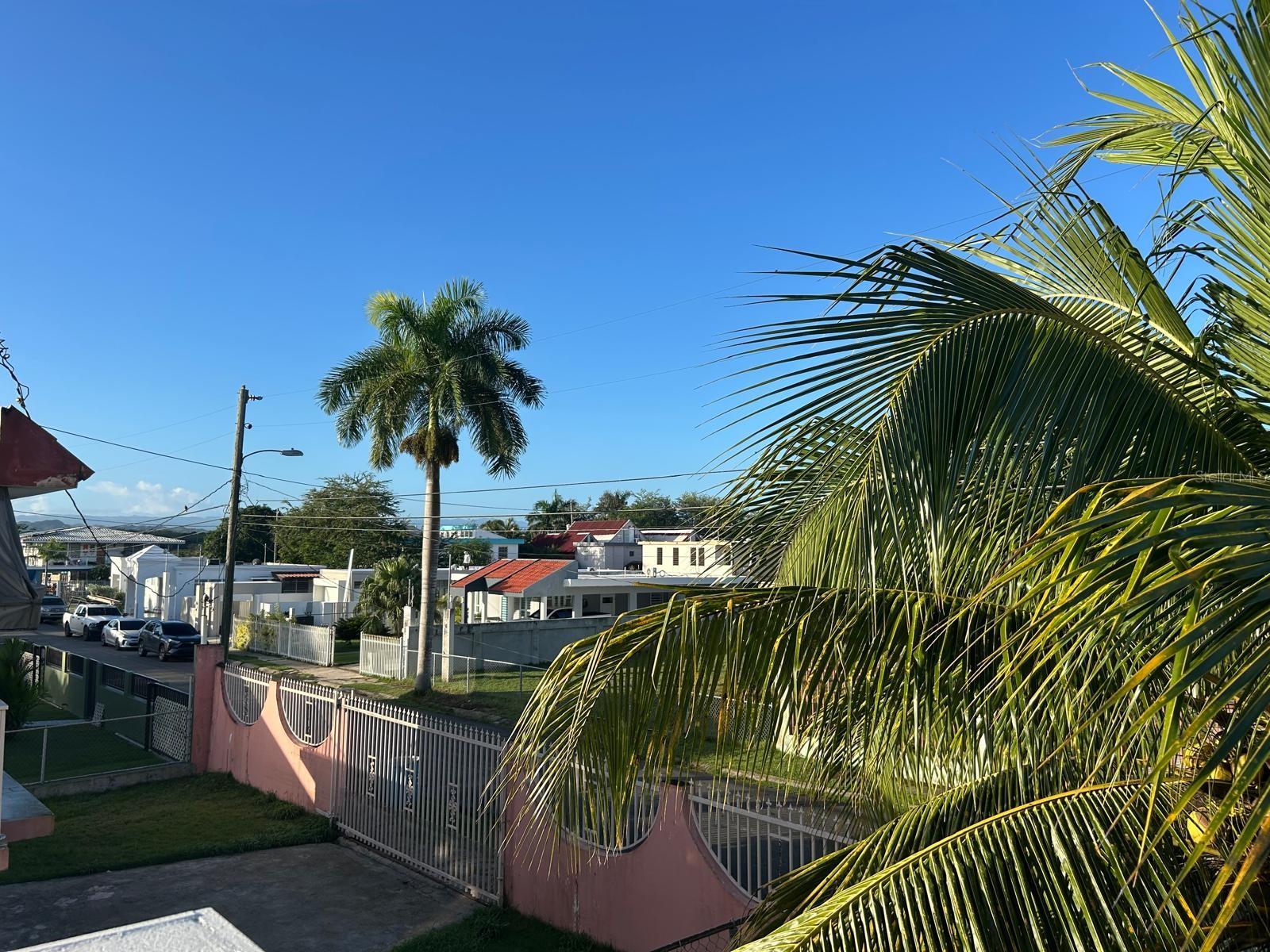 CERRO GORDO - Residential