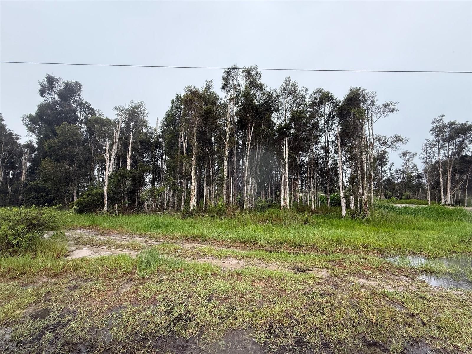 Commercial Opportunity! Prime C-2 zoned vacant land located at 3130 Meadow Rd, Lehigh Acres, FL. This versatile commercial lot offers excellent potential for retail, office, or service-based businesses. Situated in a growing area with easy access to SR-82, this property benefits from high visibility and steady traffic flow. Ideal for investors or developers looking to capitalize on Lehigh Acres’ expanding commercial market. Drive by and envision your next project today!