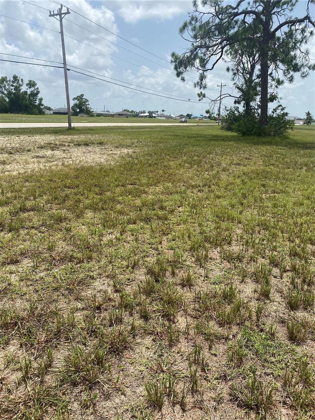 Photo of 543 Diplomat Parkway W, Cape Coral, FL 33993 (MLS # O6381915)