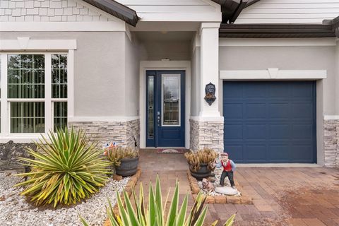 Tiny photo for 203 Messina Place, Howey In The Hills, FL 34737 (MLS # O6389003)