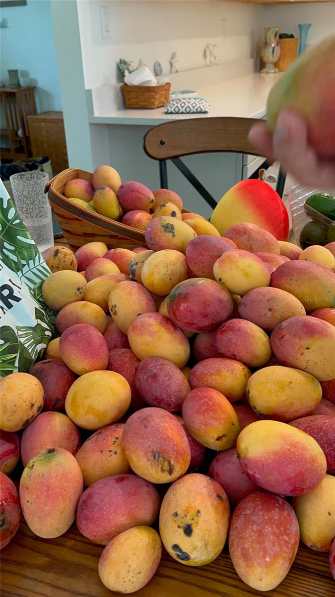 GOLF CLUB ESTATES - Residential