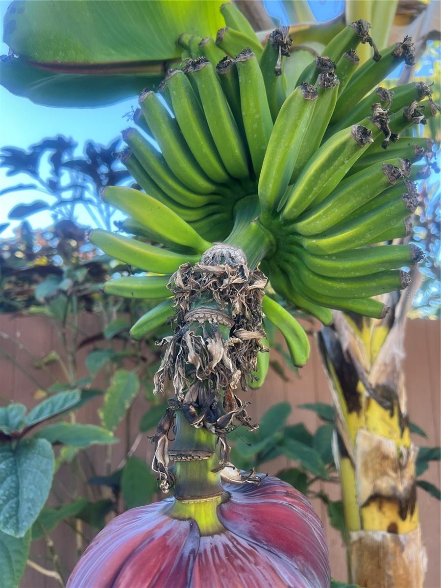 GOLF CLUB ESTATES - Residential