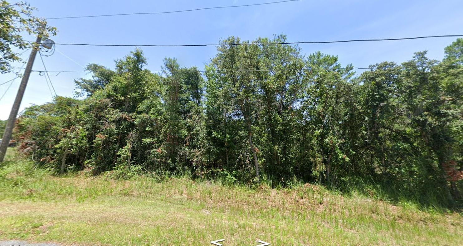 This .23 acre lot is high and dry and presents the perfect opportunity to create your dream home in SW Ocala. Also, this particular lot is outside of the utility extension area so buyers can add a private well and septic tank to take advantage of long-term savings. Conveniently located near shopping, schools, banks, medical facilities, and a variety of restaurants, this prime location offers both comfort and accessibility. Don’t miss the chance to build in one of Ocala’s most popular areas!