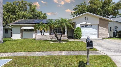 2955 BRIAR CLIFF DRIVE PALM HARBOR FL 34684