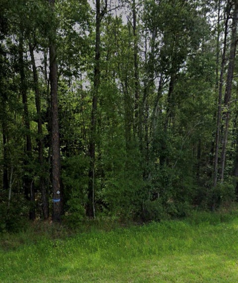 Photo of Tbd NE NE 6th Avenue, Lawtey, FL 32058 (MLS # S5154501)