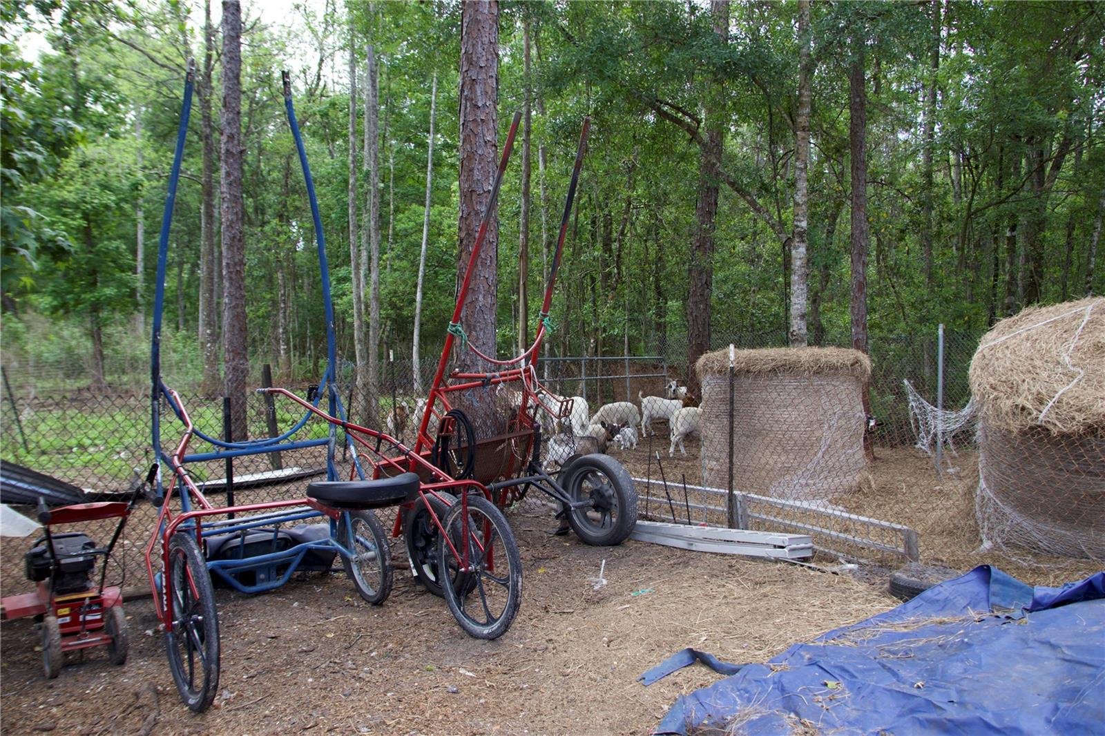 EAST ORLANDO UNREC - Land