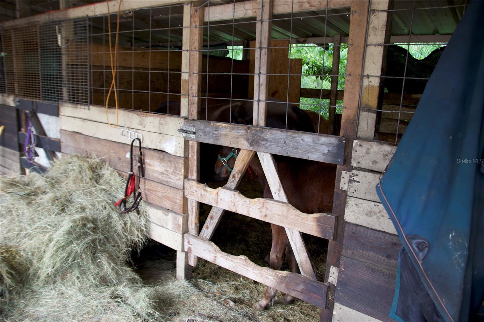 EAST ORLANDO UNREC - Land