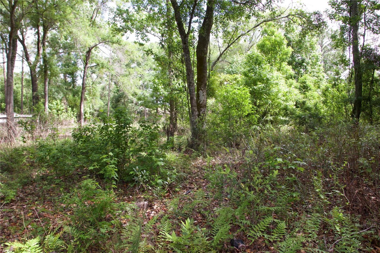 EAST ORLANDO UNREC - Land