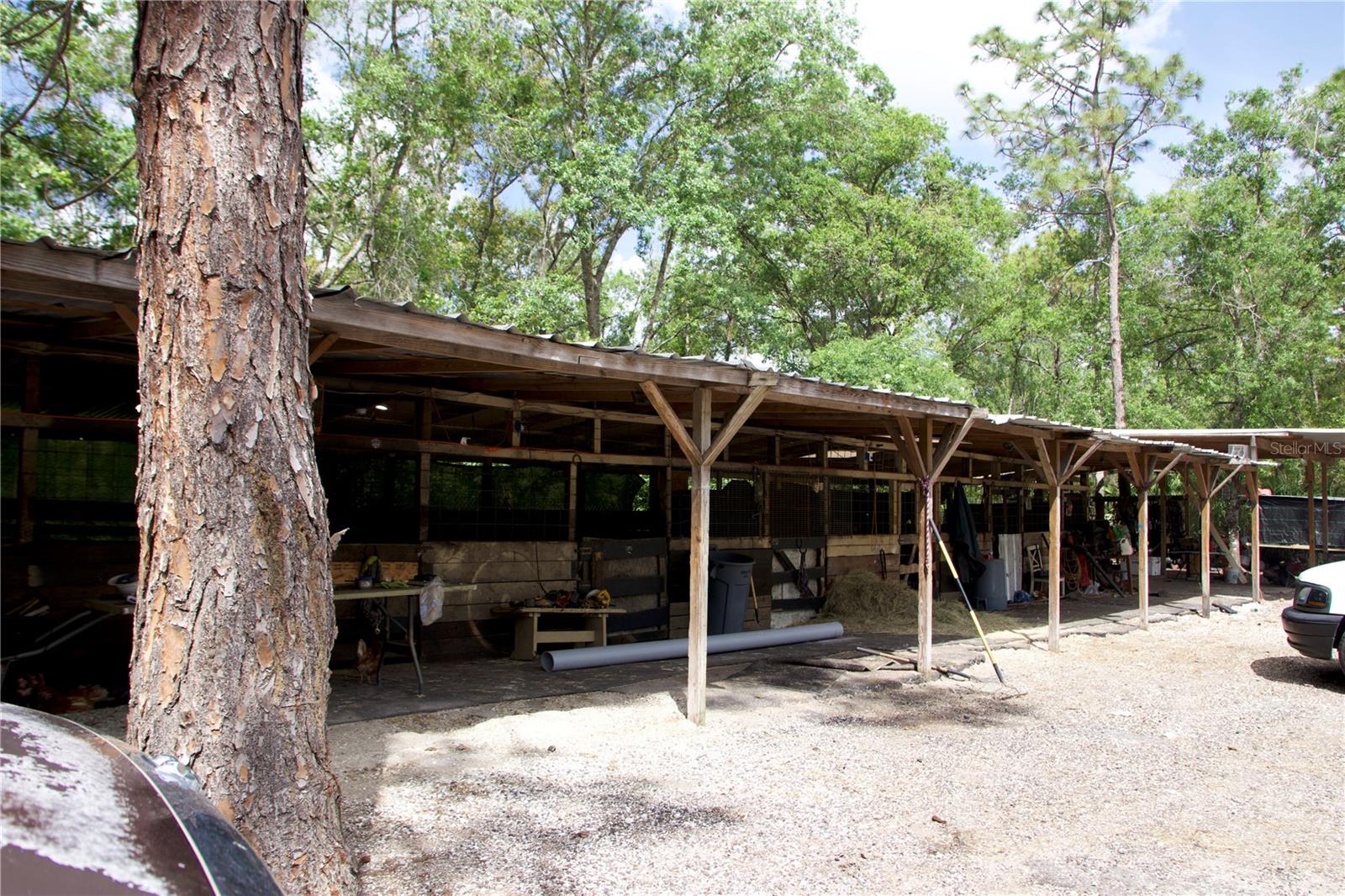 EAST ORLANDO UNREC - Land