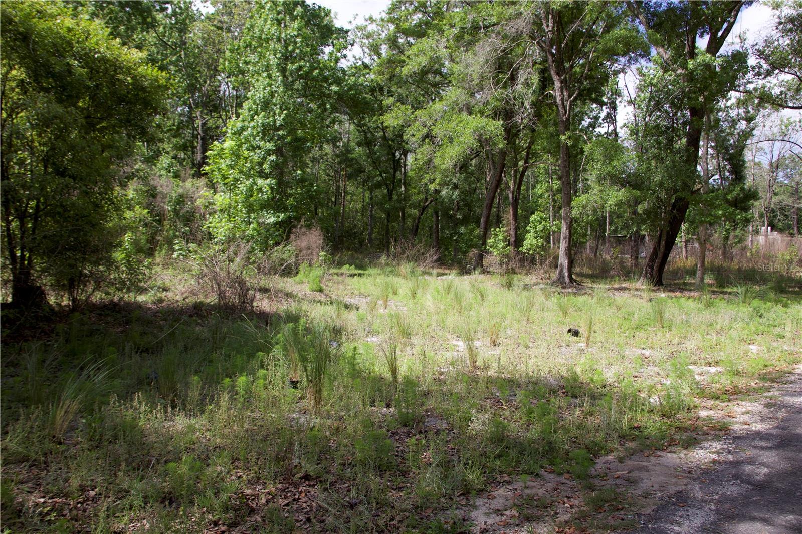 EAST ORLANDO UNREC - Land