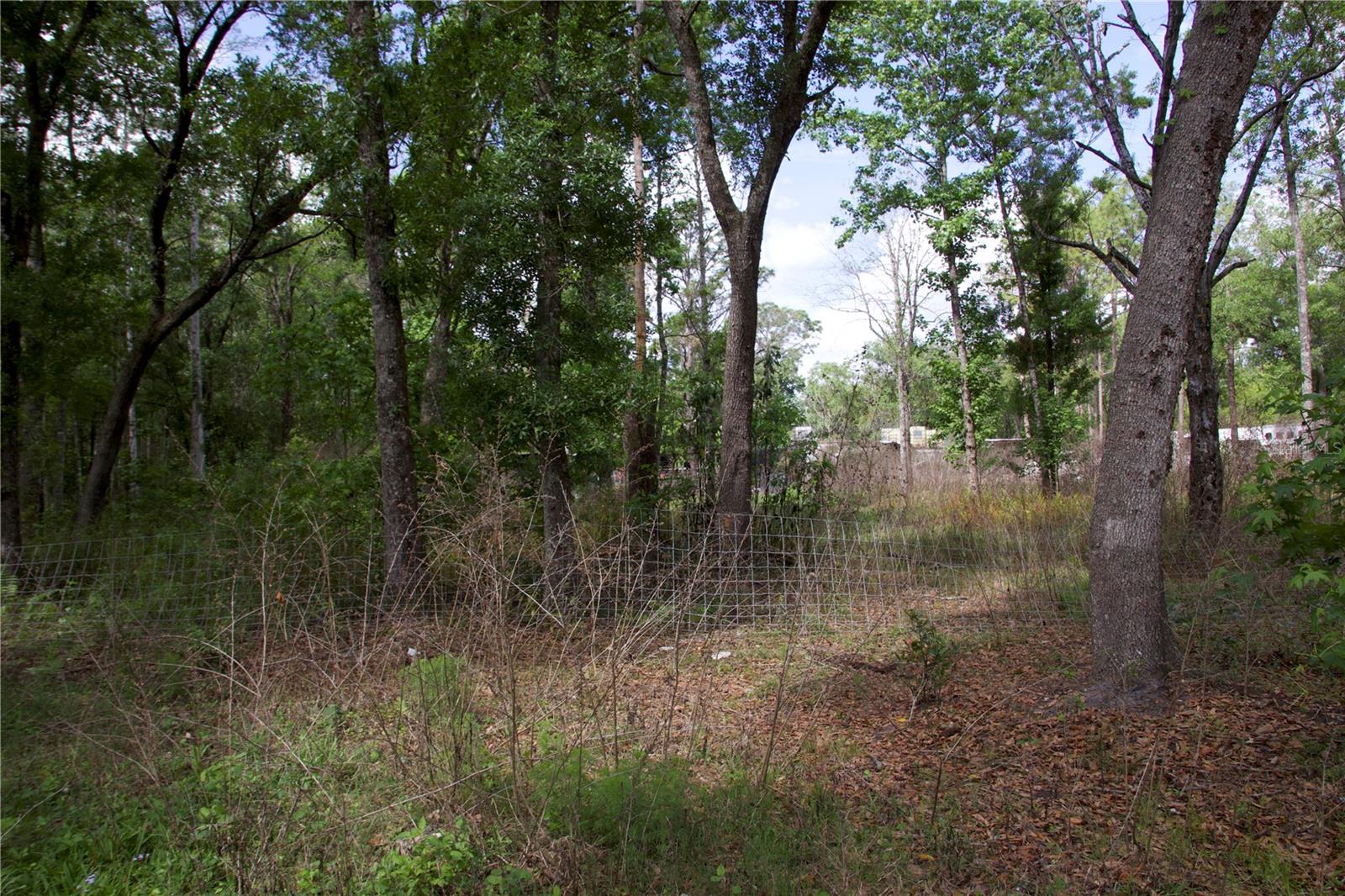 EAST ORLANDO UNREC - Land