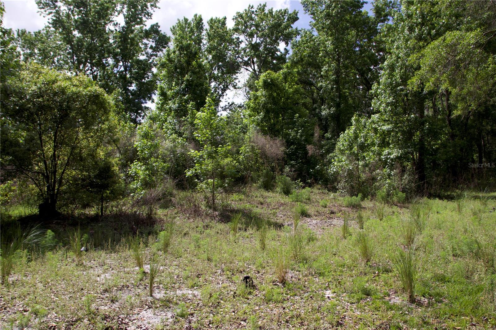 EAST ORLANDO UNREC - Land