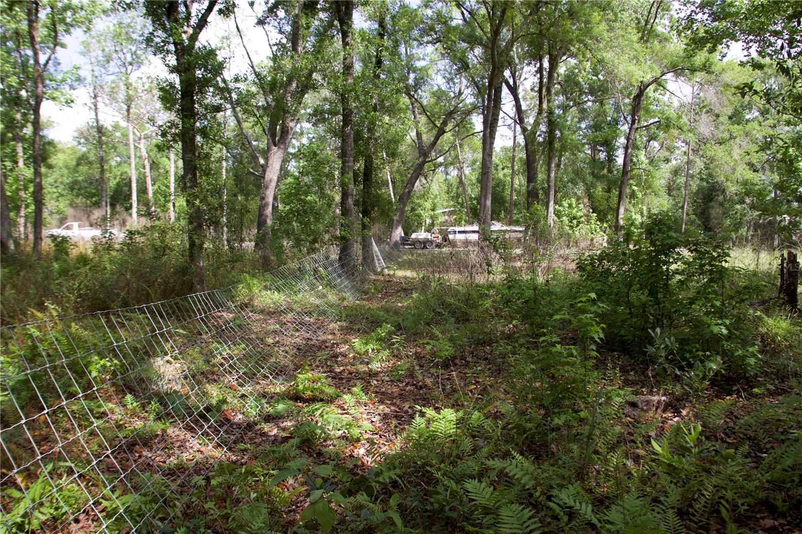 EAST ORLANDO UNREC - Land