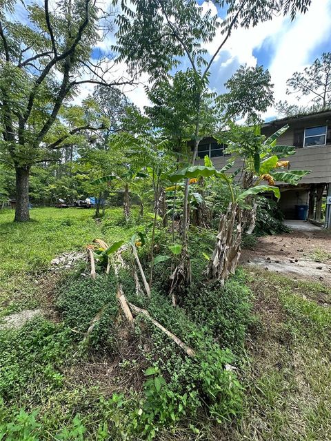 A home in DELAND