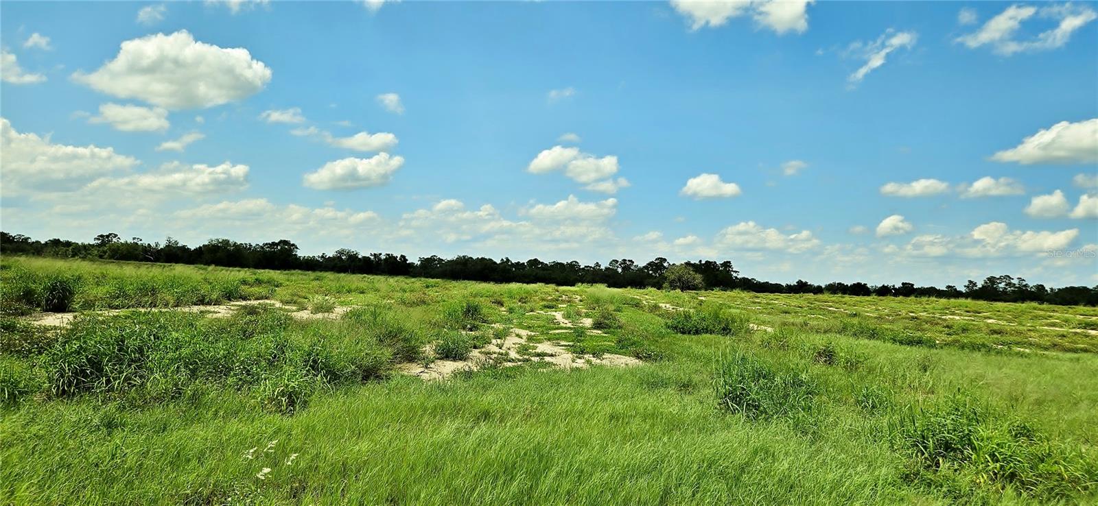 MAMMOTH GROVE ROAD