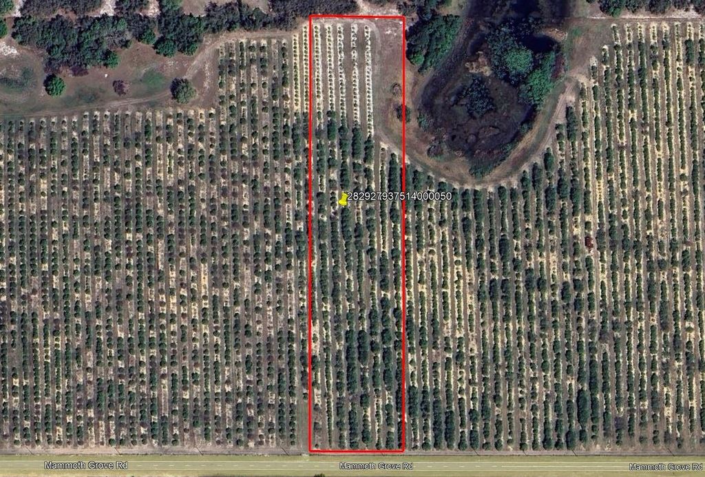 Photo of Mammoth Grove Road, Lake Wales, FL 33898 (MLS # P4935054)