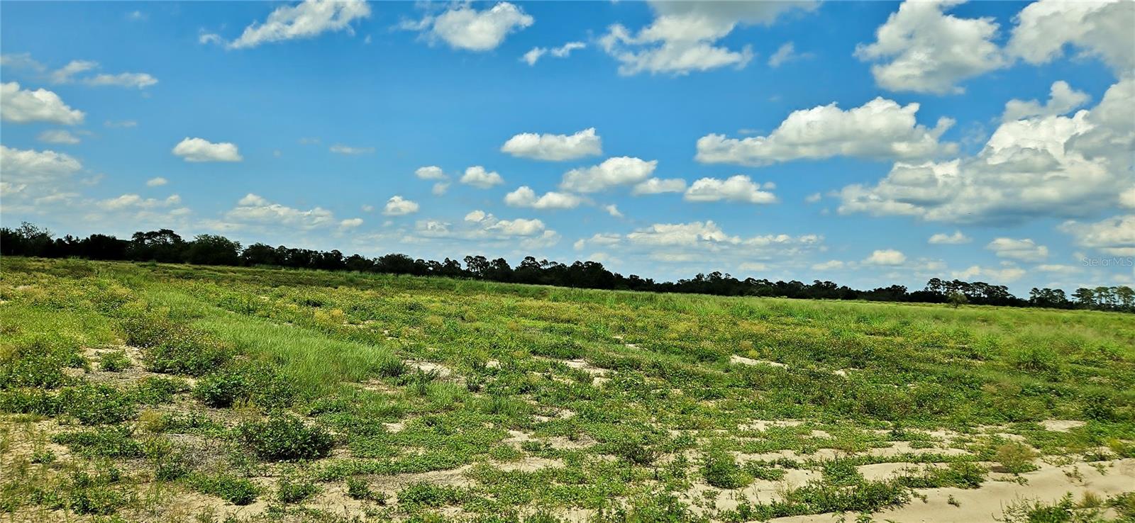 MAMMOTH GROVE ROAD