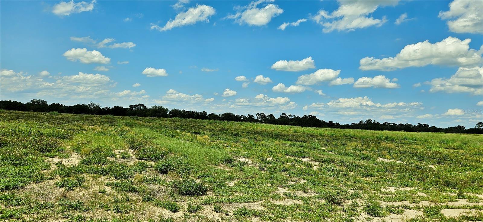 MAMMOTH GROVE ROAD