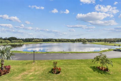 A home in PALM HARBOR