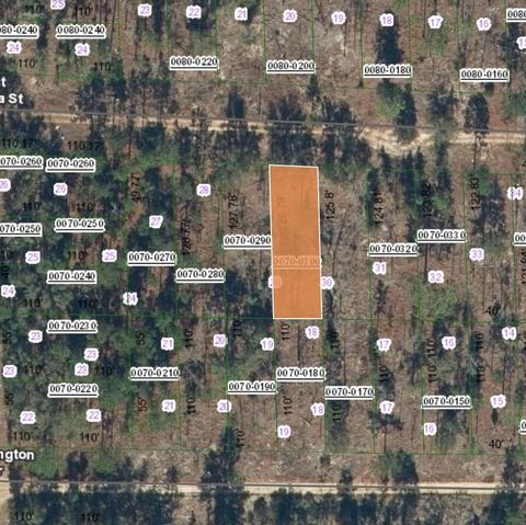 Photo of 129 West Virginia Street, Hawthorne, FL 32640 (MLS # FC315454)