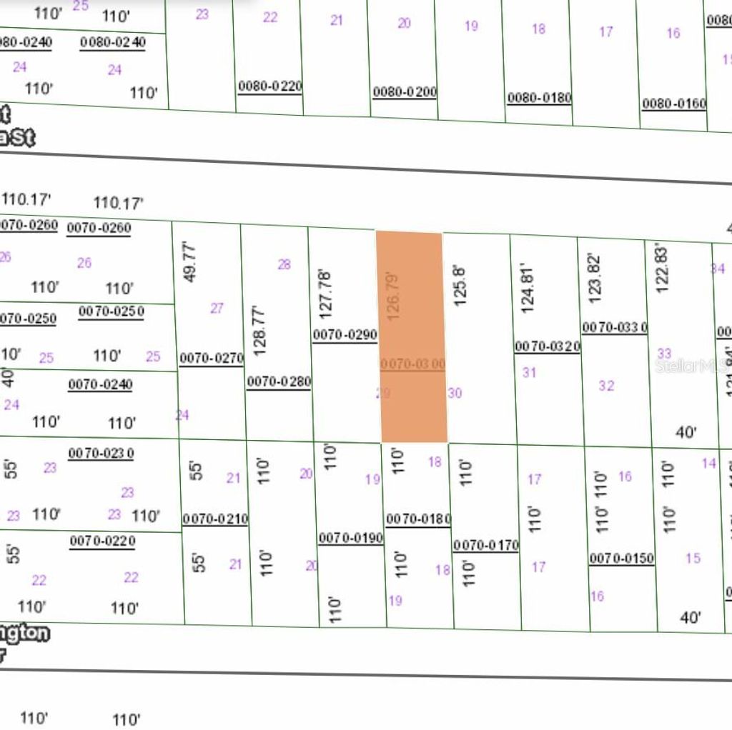 Photo of 129 West Virginia Street, Hawthorne, FL 32640 (MLS # FC315454)