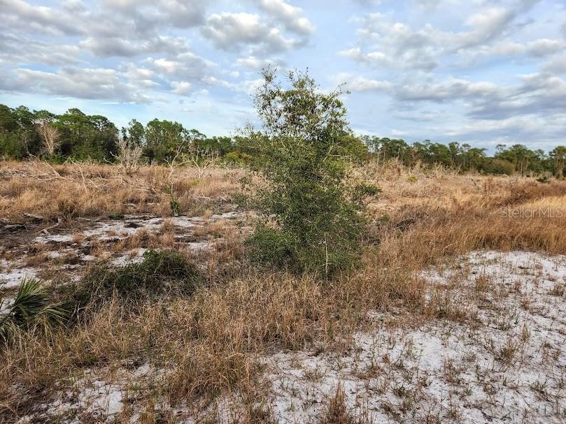 OAKRIDGE ESTATES - Land