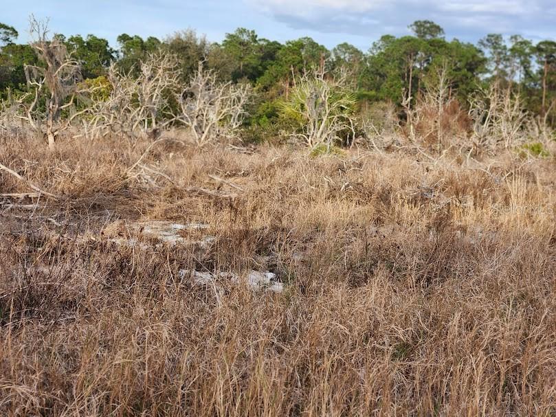 OAKRIDGE ESTATES - Land