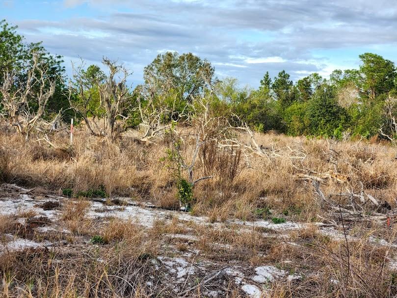 OAKRIDGE ESTATES - Land