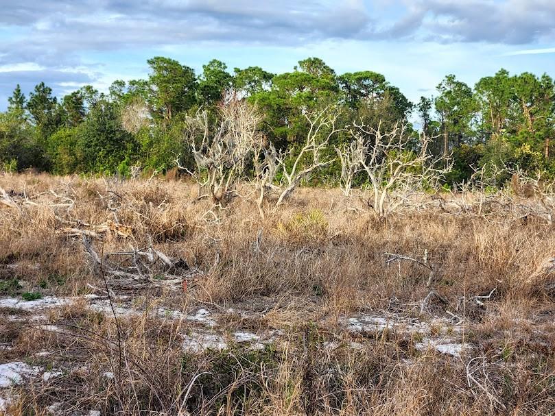 OAKRIDGE ESTATES - Land