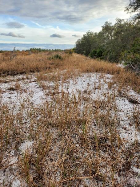 OAKRIDGE ESTATES - Land