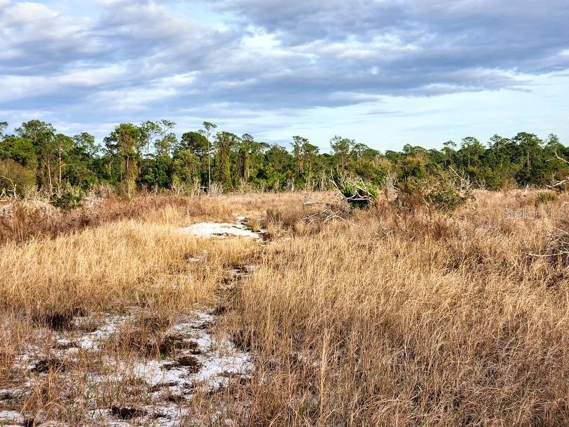 OAKRIDGE ESTATES - Land