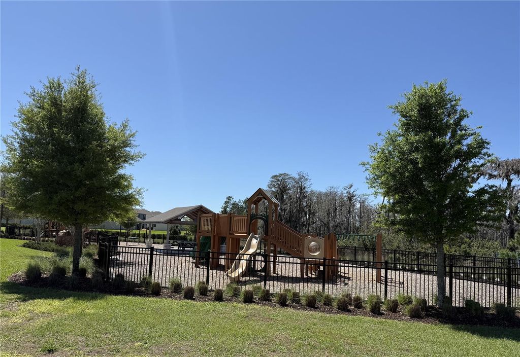 Photo of 13617 Salamander Street, Winter Garden, FL 34787 (MLS # O6391534)