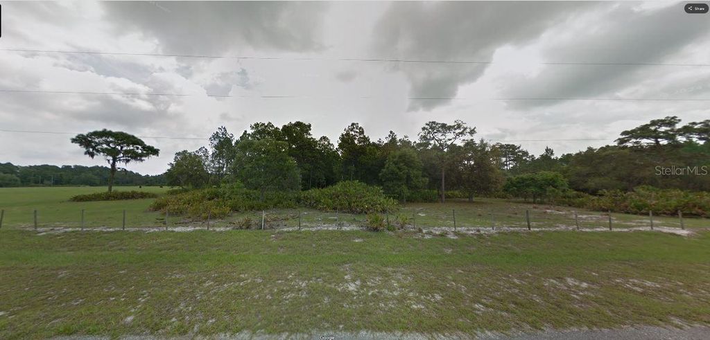 Photo of Sun Juan Ave, Polk City, FL 33868 (MLS # O6269858)