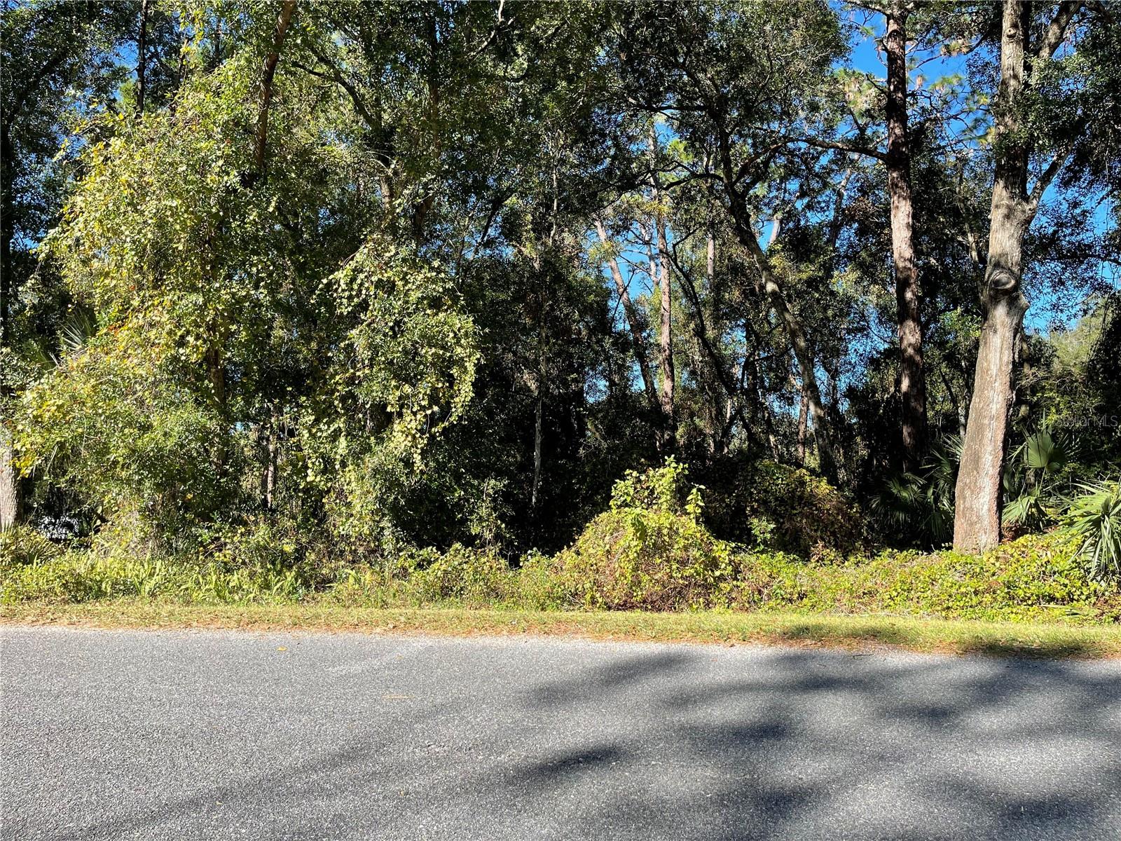 6954 SE 170TH AVENUE ROAD