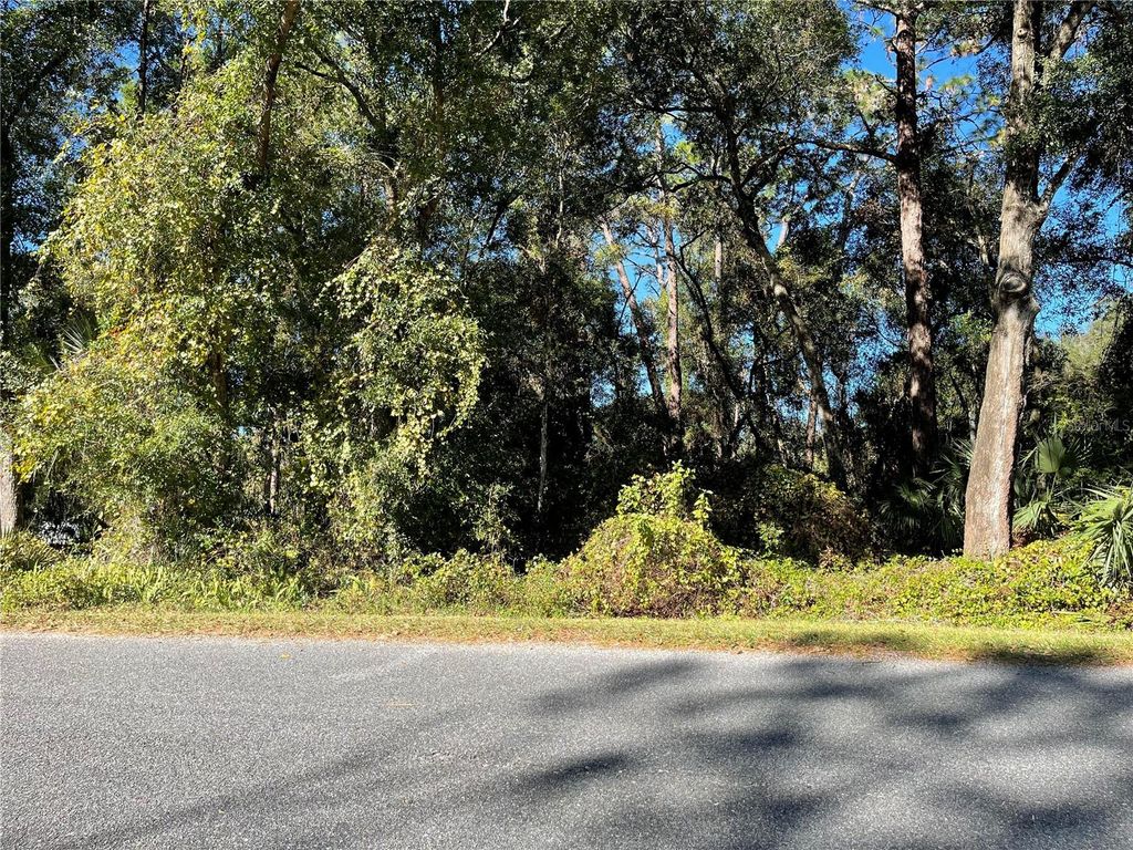 Photo of 6954 SE 170th Avenue Road, Ocklawaha, FL 32179 (MLS # O6274597)