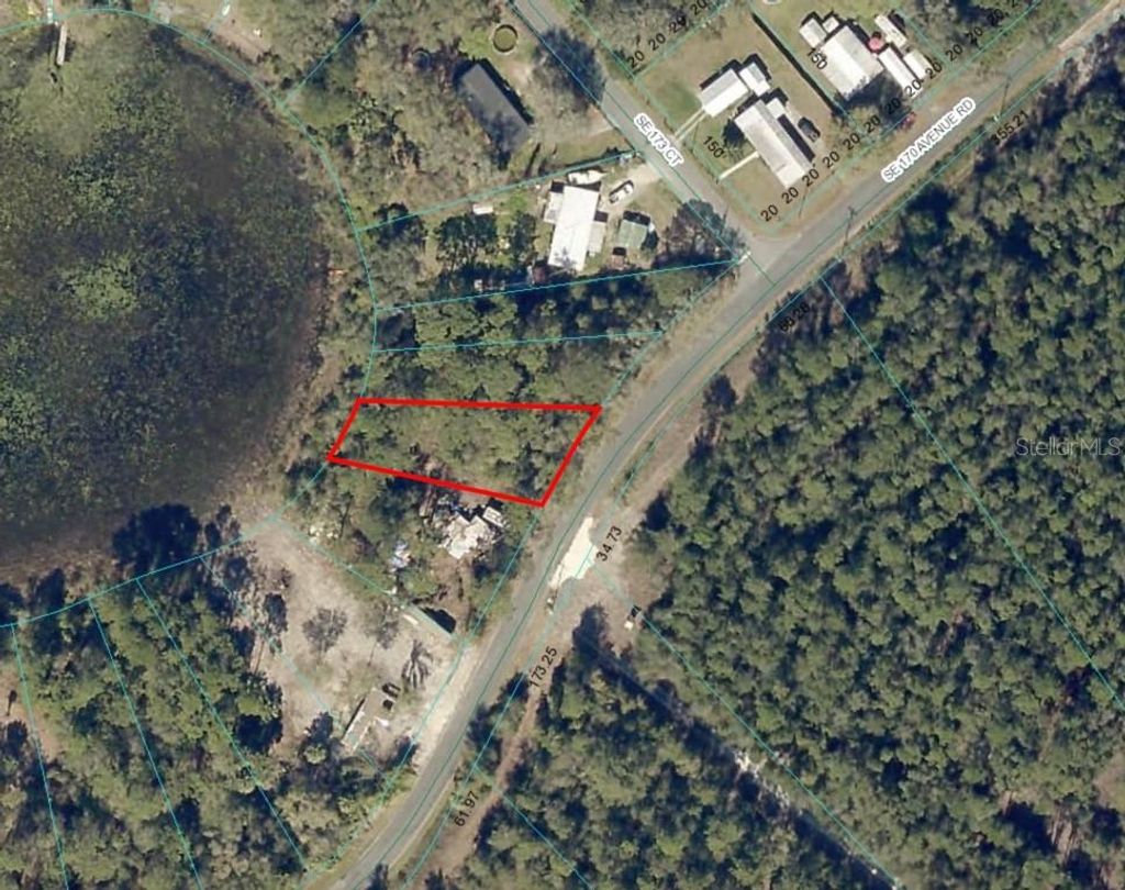 Photo of 6954 SE 170th Avenue Road, Ocklawaha, FL 32179 (MLS # O6274597)