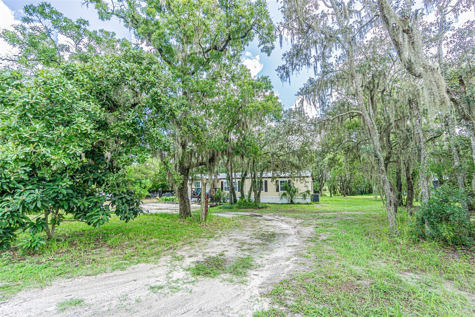 11420 ENGLISH WALNUT STREET
